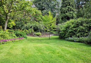 Optimiser l'expérience du jardin à Ploemeur